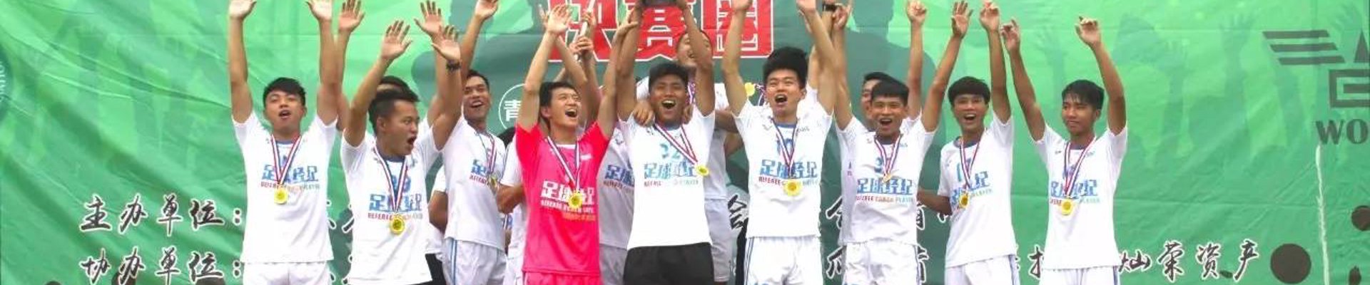 项目案例